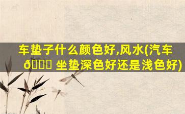 车垫子什么颜色好,风水(汽车 🐎 坐垫深色好还是浅色好)